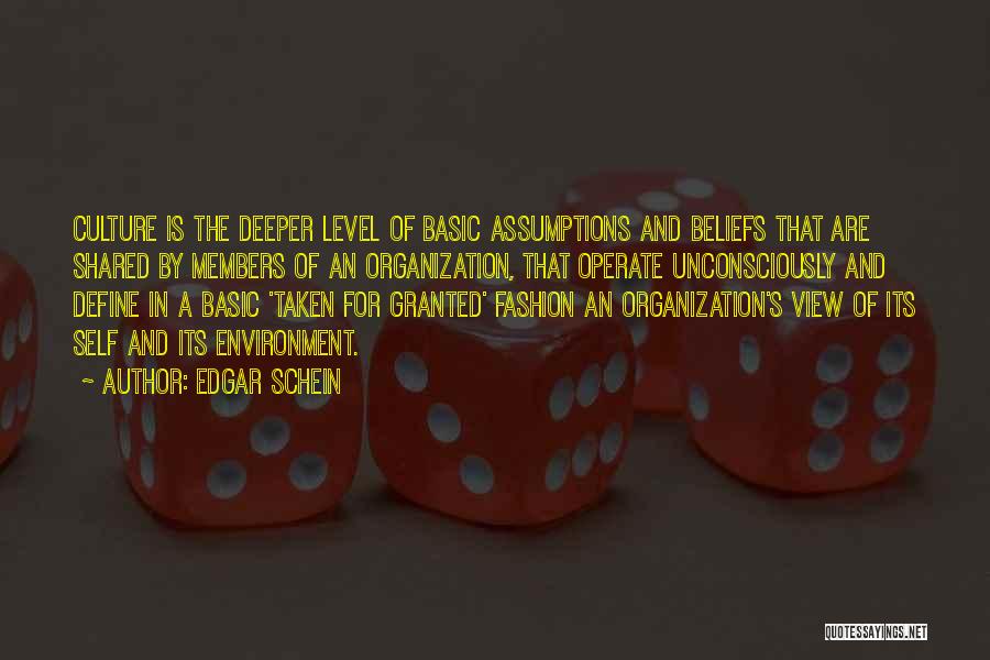 Schein Quotes By Edgar Schein