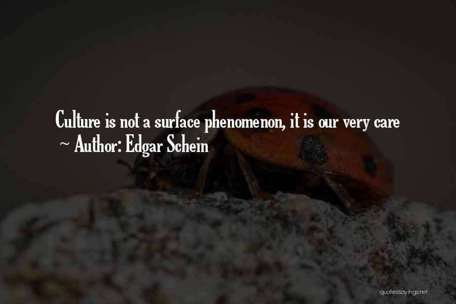 Schein Quotes By Edgar Schein