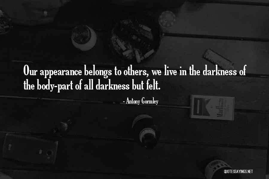 Scheinberger Quotes By Antony Gormley Scheinberger Quotes By Antony Gormley
