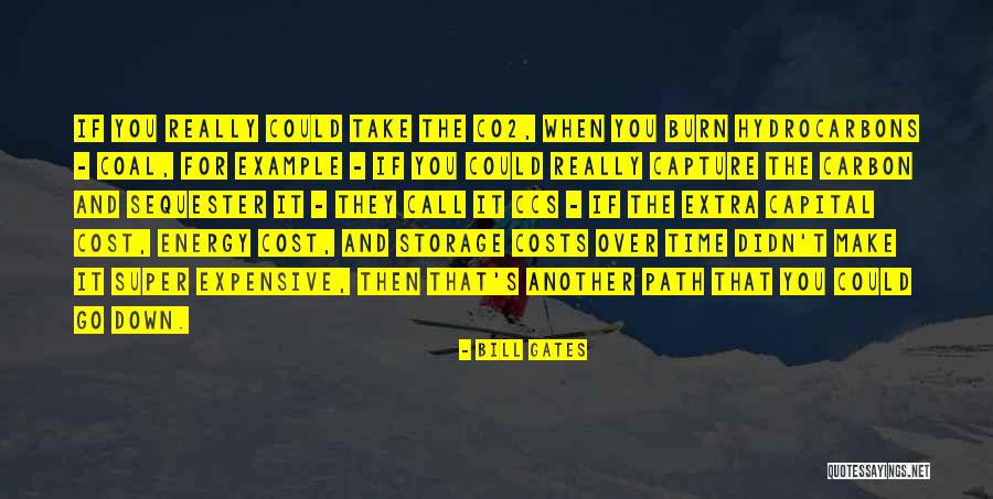 Scheinberger Quotes By Bill Gates Scheinberger Quotes By Bill Gates