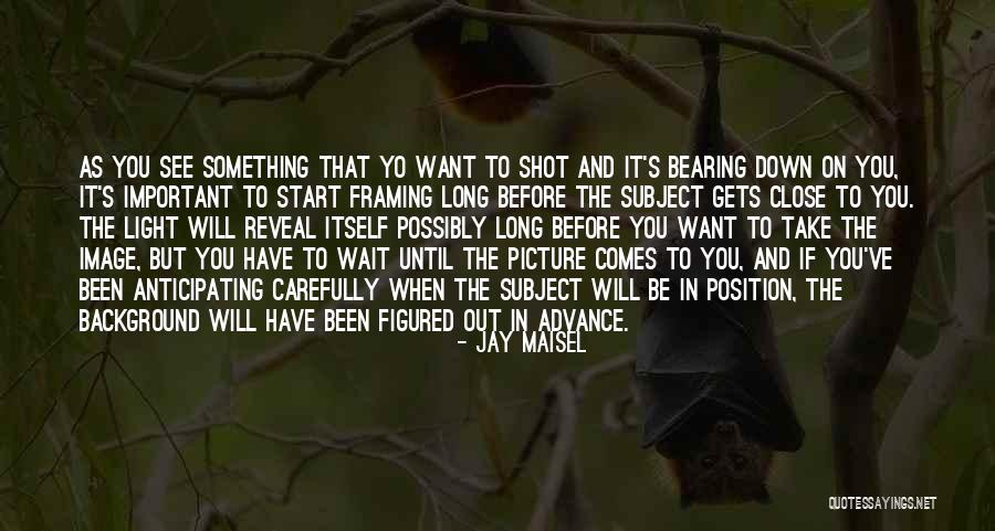 Scheister Quotes By Jay Maisel Scheister Quotes By Jay Maisel