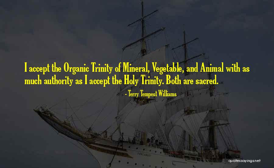 Scheitzach Quotes By Terry Tempest Williams Scheitzach Quotes By Terry Tempest Williams