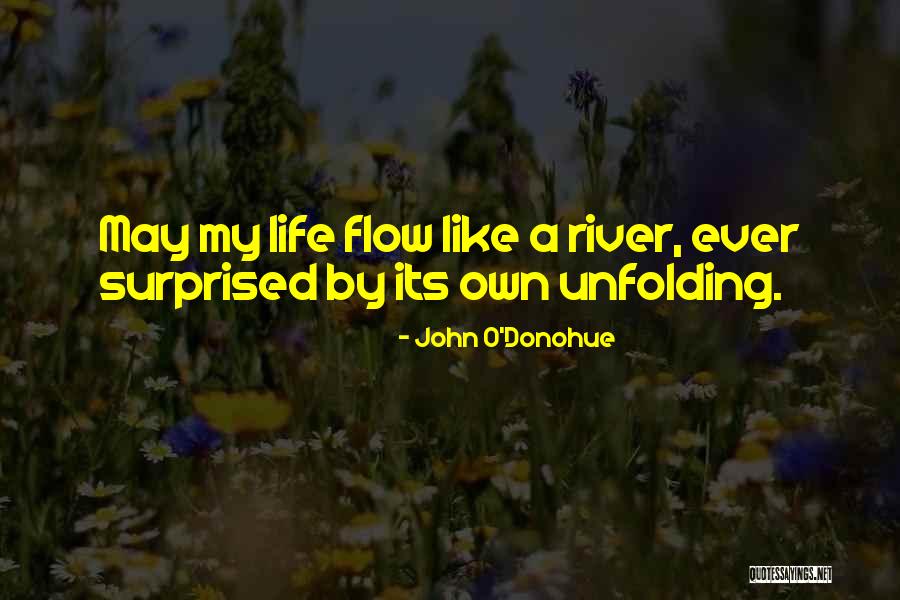 Scheldestraat Quotes By John O'Donohue Scheldestraat Quotes By John O'Donohue