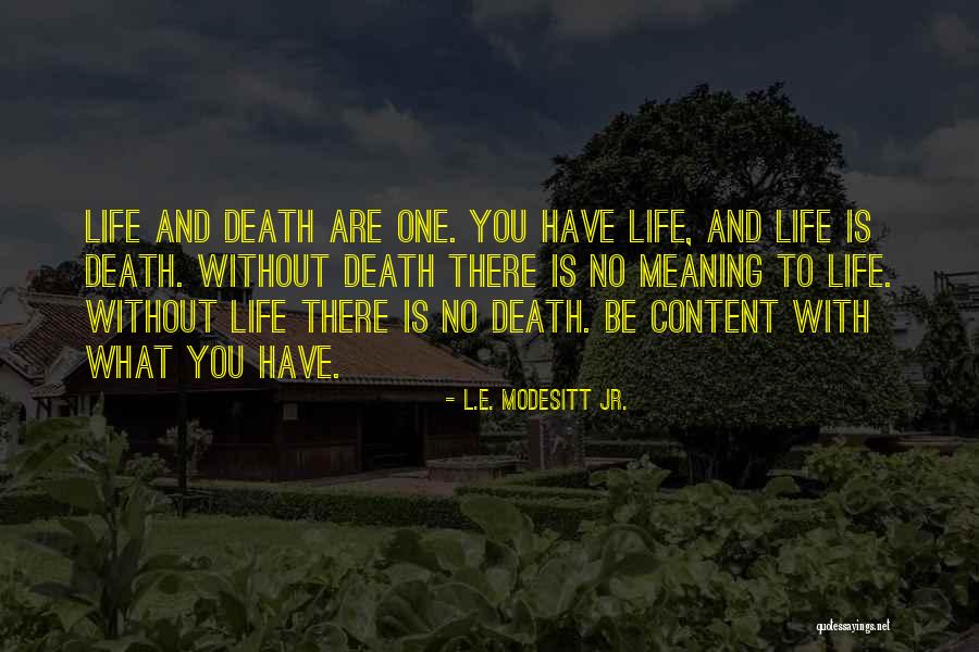 Scheletro Gigante Quotes By L.E. Modesitt Jr. Scheletro Gigante Quotes By L.E. Modesitt Jr.