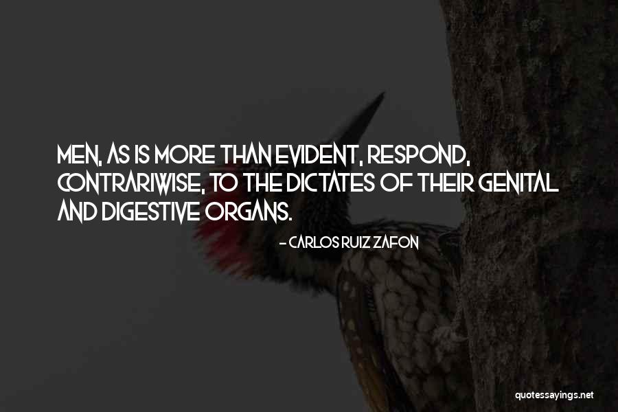 Schellberg Gym Quotes By Carlos Ruiz Zafon Schellberg Gym Quotes By Carlos Ruiz Zafon