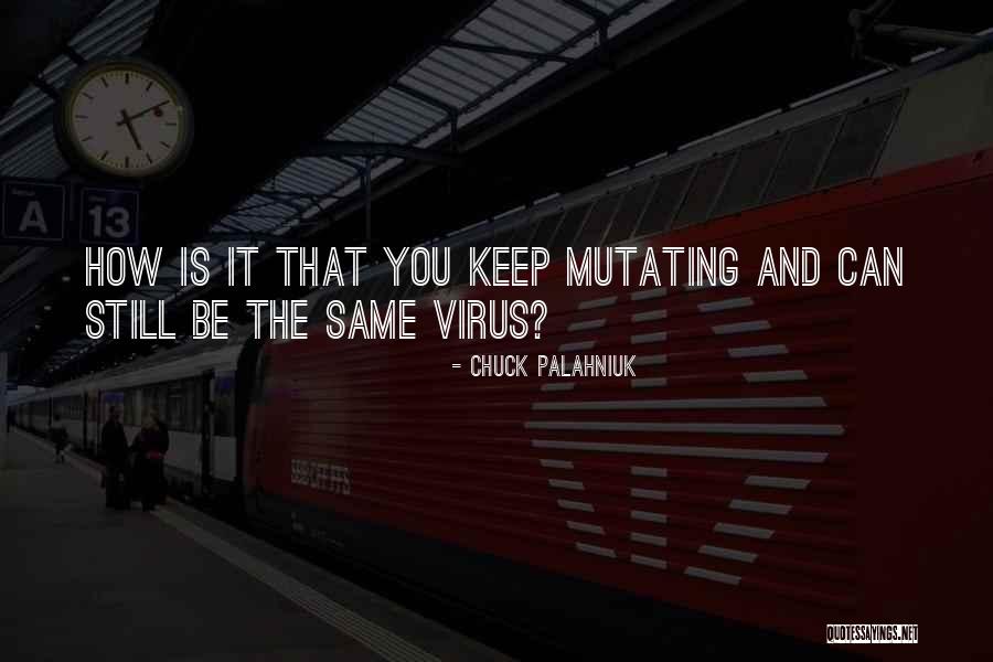 Schellberg Gym Quotes By Chuck Palahniuk Schellberg Gym Quotes By Chuck Palahniuk