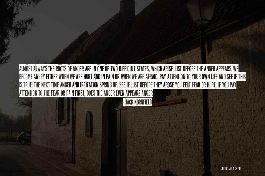 Schellers Cycling And Fitness Quotes By Jack Kornfield Schellers Cycling And Fitness Quotes By Jack Kornfield