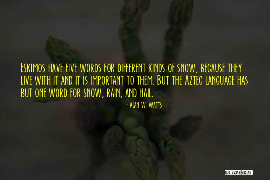 Schellevis Betontegel Quotes By Alan W. Watts Schellevis Betontegel Quotes By Alan W. Watts