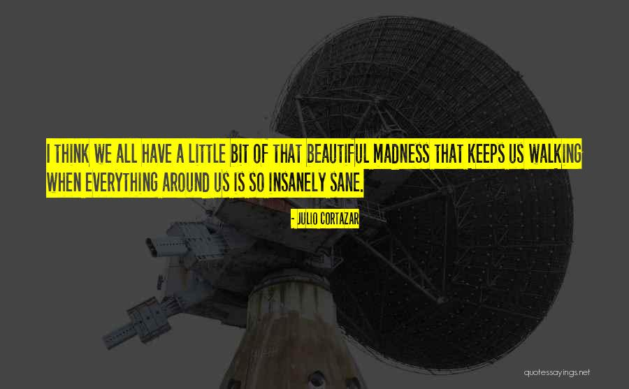 Schellhorn Sepp Quotes By Julio Cortazar Schellhorn Sepp Quotes By Julio Cortazar