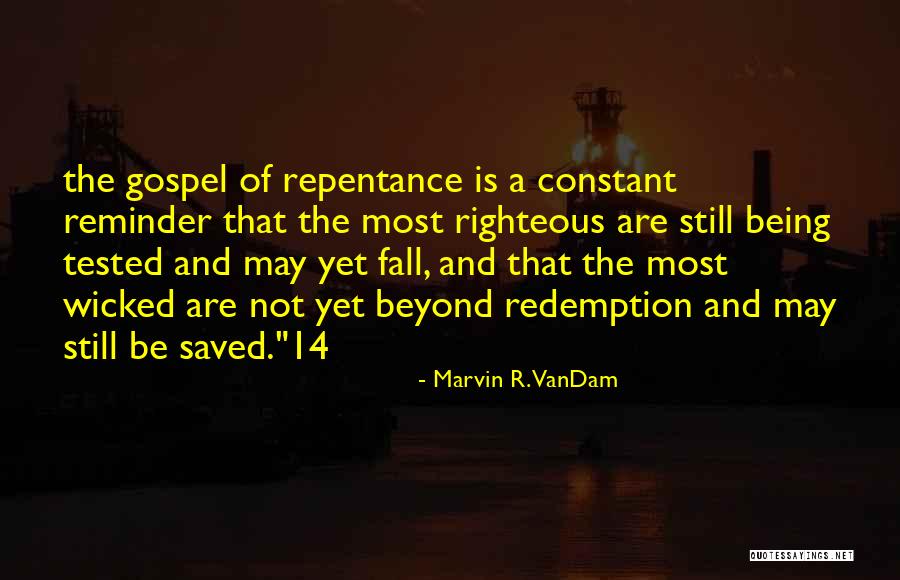 Schelp Zandbak Quotes By Marvin R. VanDam Schelp Zandbak Quotes By Marvin R. VanDam