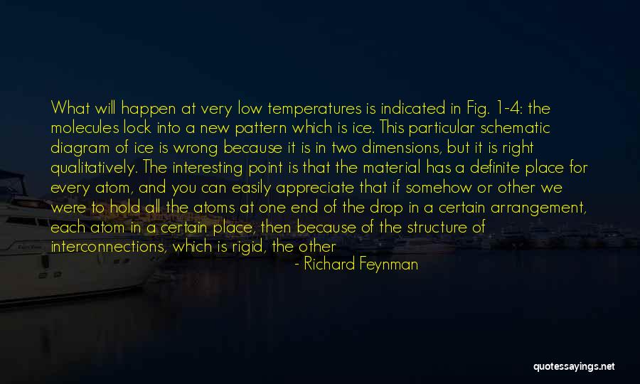 Schematic Diagram Quotes By Richard Feynman Schematic Diagram Quotes By Richard Feynman