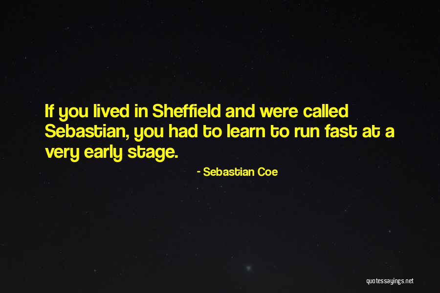 Scheme Of Fires Quotes By Sebastian Coe Scheme Of Fires Quotes By Sebastian Coe