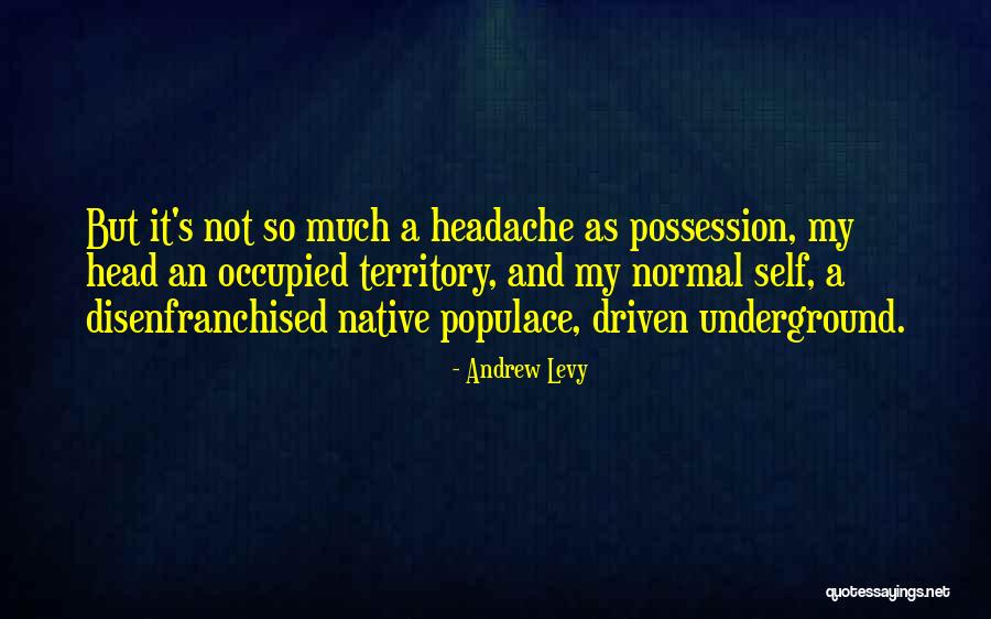 Schement Damenagement Quotes By Andrew Levy Schement Damenagement Quotes By Andrew Levy