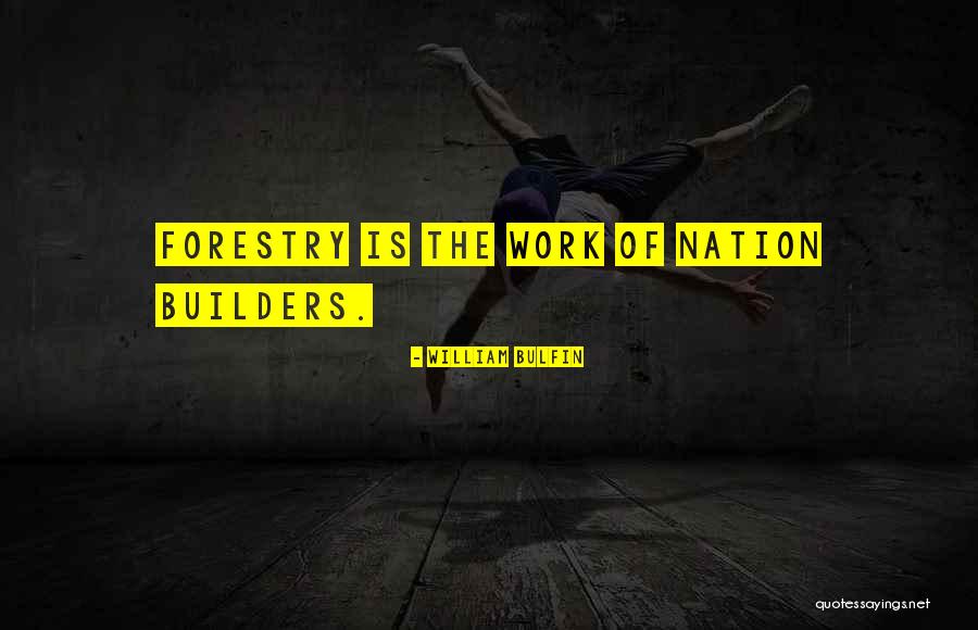 Schemin Quotes By William Bulfin Schemin Quotes By William Bulfin