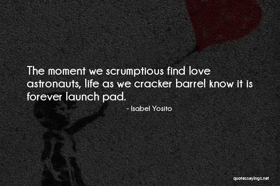 Schenfelt Consulting Quotes By Isabel Yosito Schenfelt Consulting Quotes By Isabel Yosito