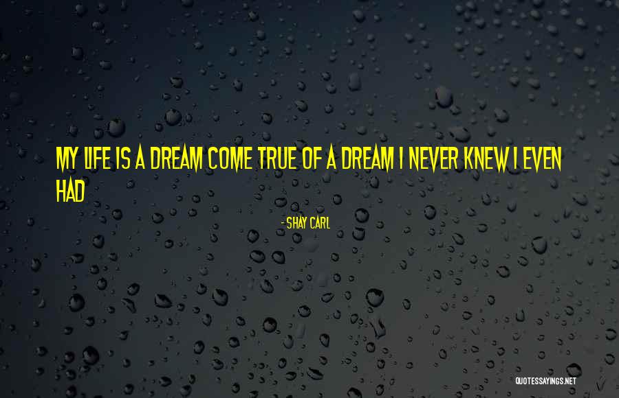 Schepel Used Cars Quotes By Shay Carl Schepel Used Cars Quotes By Shay Carl