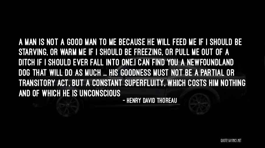 Scheriniai Quotes By Henry David Thoreau Scheriniai Quotes By Henry David Thoreau