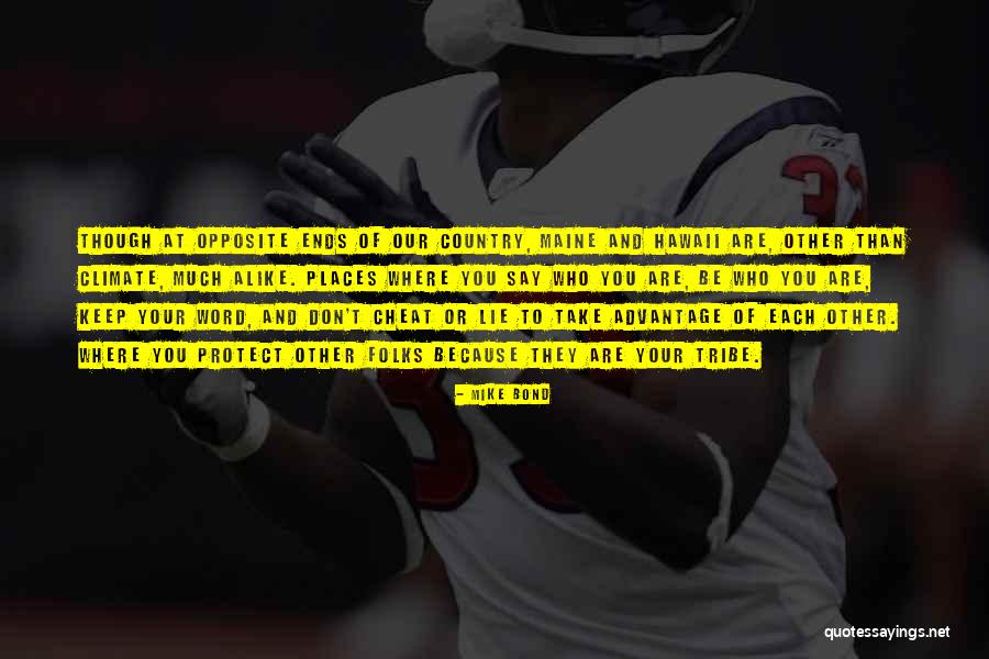 Scherner Dog Quotes By Mike Bond Scherner Dog Quotes By Mike Bond