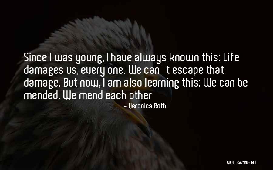 Scherner Dog Quotes By Veronica Roth Scherner Dog Quotes By Veronica Roth