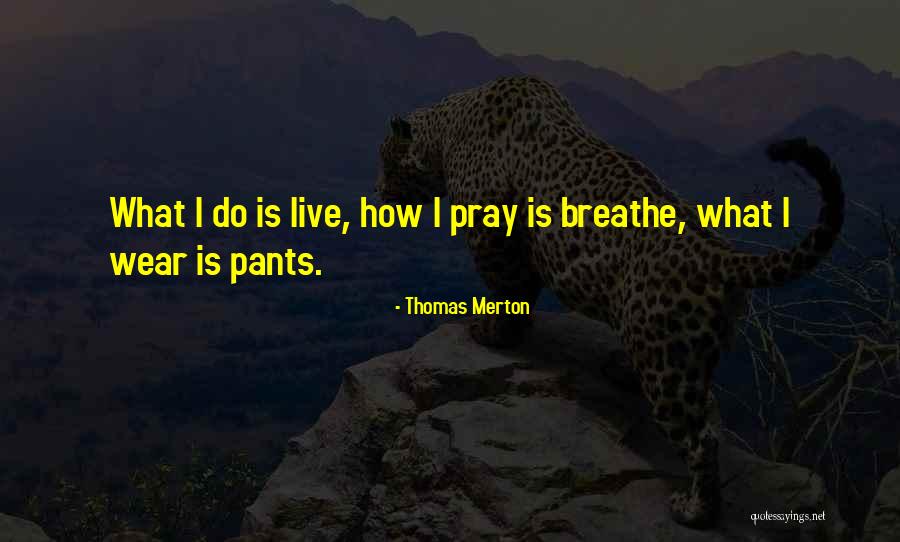 Schertenleib Holsters Quotes By Thomas Merton Schertenleib Holsters Quotes By Thomas Merton