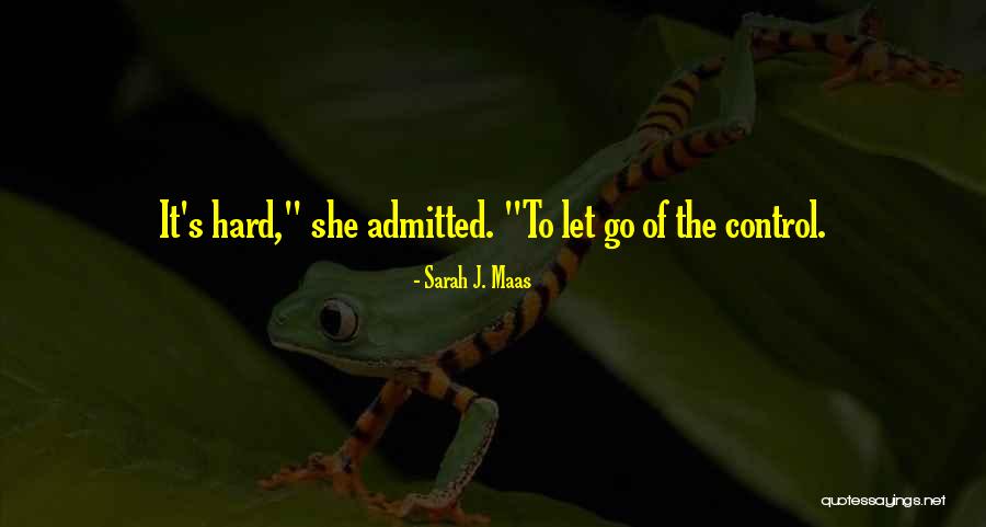 Scheuerer Automobile Quotes By Sarah J. Maas