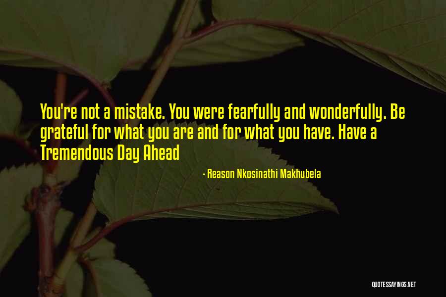 Scheunemann Pitt Quotes By Reason Nkosinathi Makhubela Scheunemann Pitt Quotes By Reason Nkosinathi Makhubela