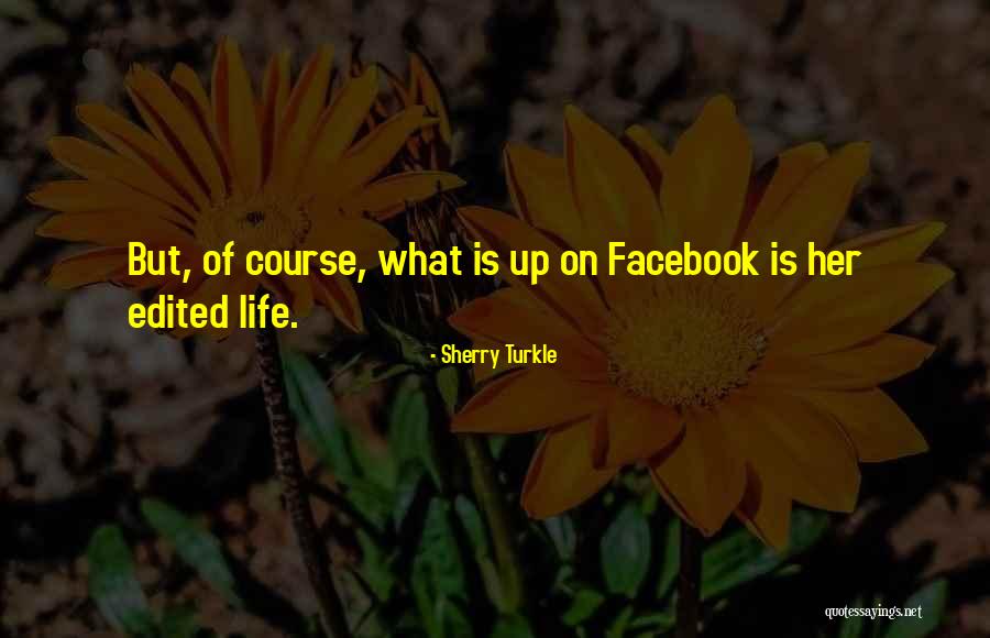 Scheyden Quotes By Sherry Turkle Scheyden Quotes By Sherry Turkle