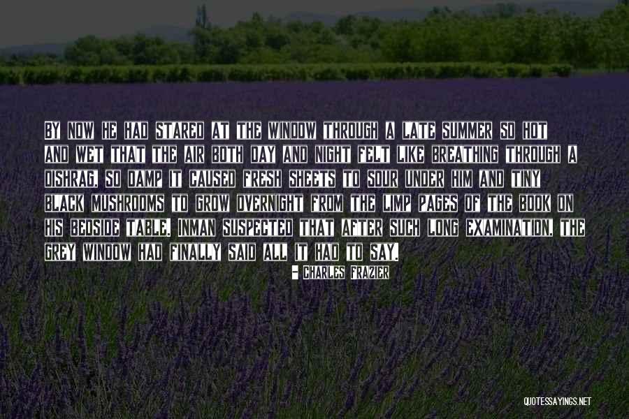 Schiaffoni Quotes By Charles Frazier Schiaffoni Quotes By Charles Frazier