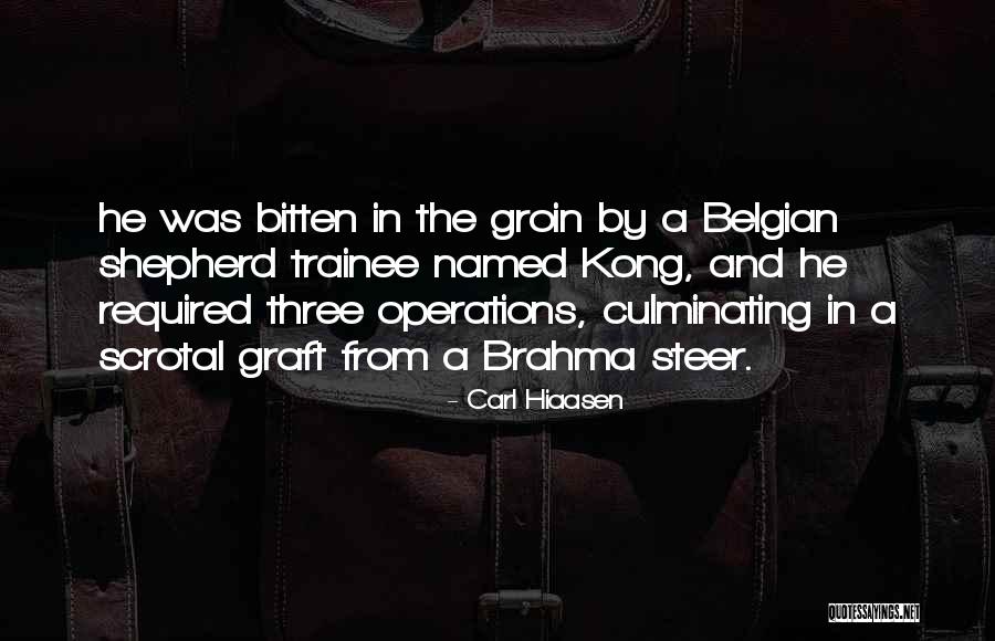 Schiaparelli Jewelry Quotes By Carl Hiaasen Schiaparelli Jewelry Quotes By Carl Hiaasen