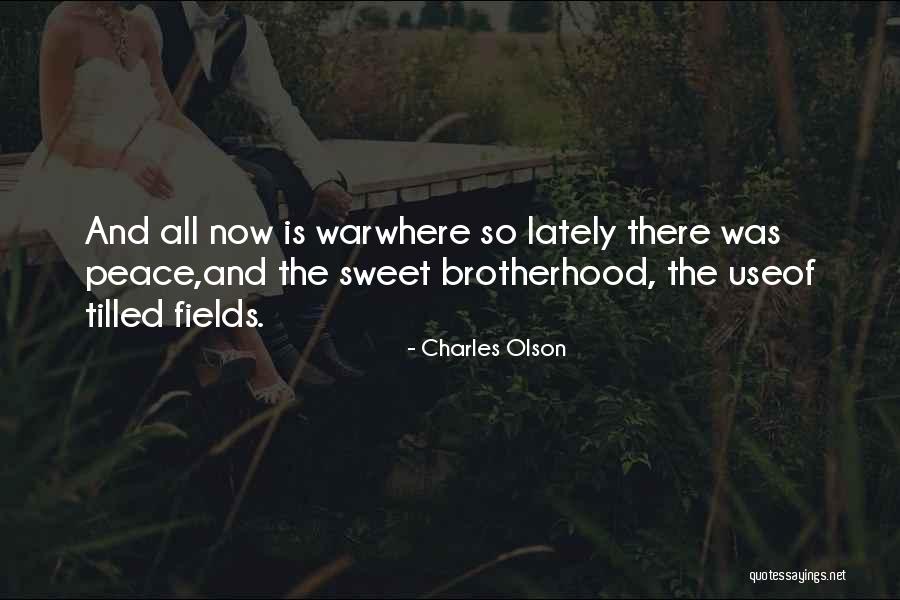 Schiavoni Harry Quotes By Charles Olson Schiavoni Harry Quotes By Charles Olson