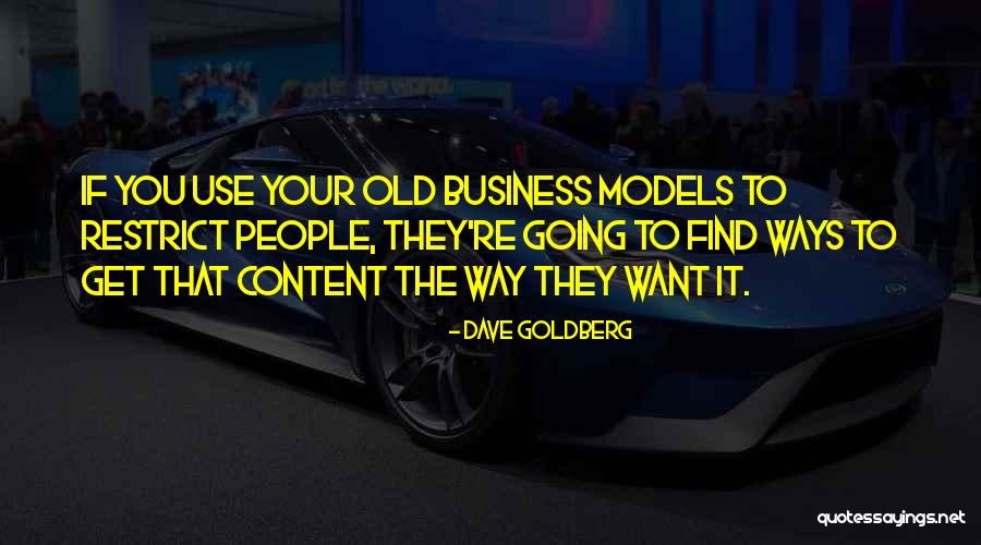 Schiavoni Harry Quotes By Dave Goldberg Schiavoni Harry Quotes By Dave Goldberg
