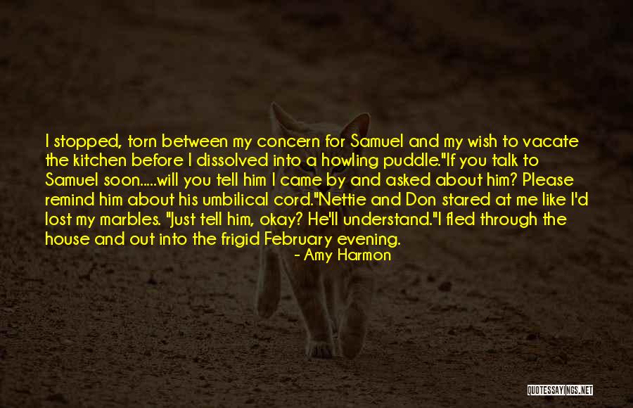 Schidlowski Houston Quotes By Amy Harmon