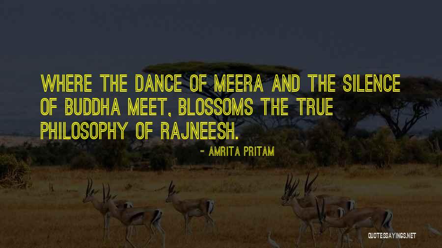 Schiebler In Trinidad Quotes By Amrita Pritam Schiebler In Trinidad Quotes By Amrita Pritam