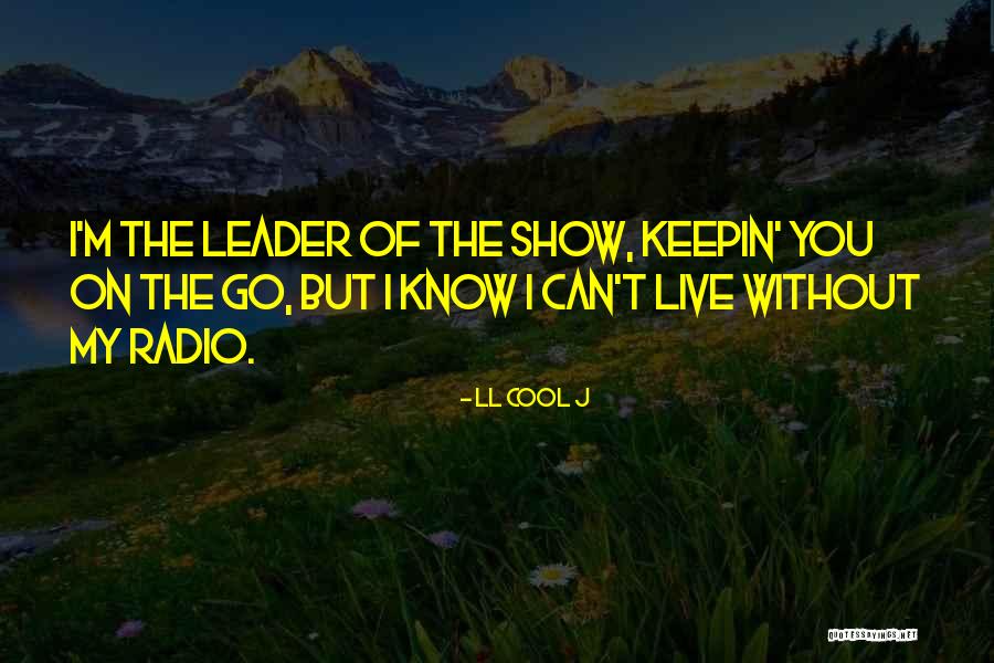 Schiefer Quotes By LL Cool J Schiefer Quotes By LL Cool J