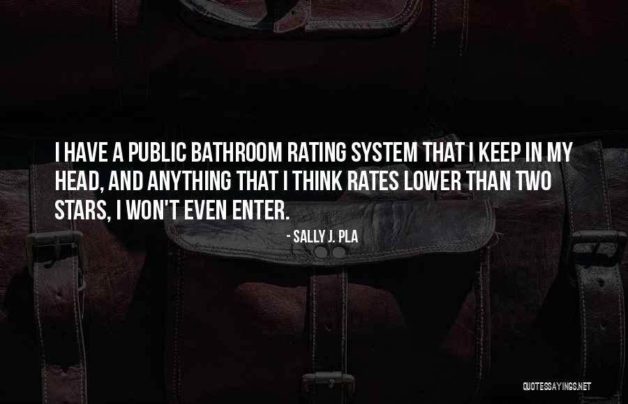 Schieferstein Quotes By Sally J. Pla Schieferstein Quotes By Sally J. Pla