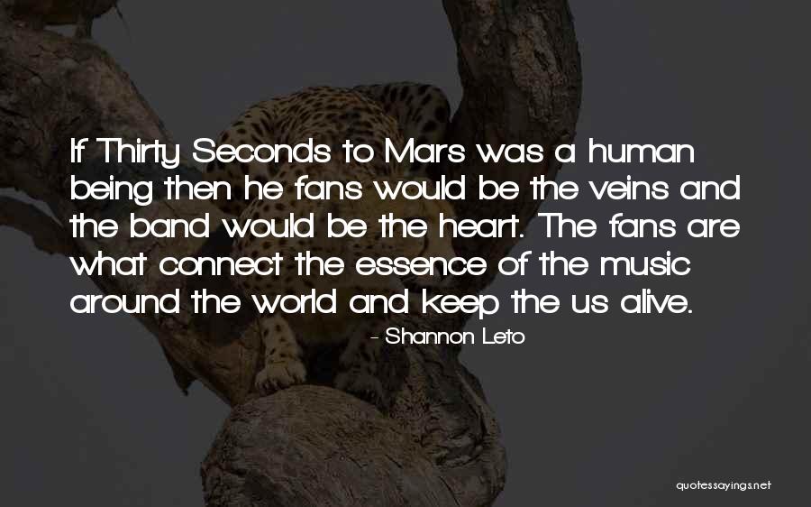 Schiessl On Netflix Quotes By Shannon Leto Schiessl On Netflix Quotes By Shannon Leto