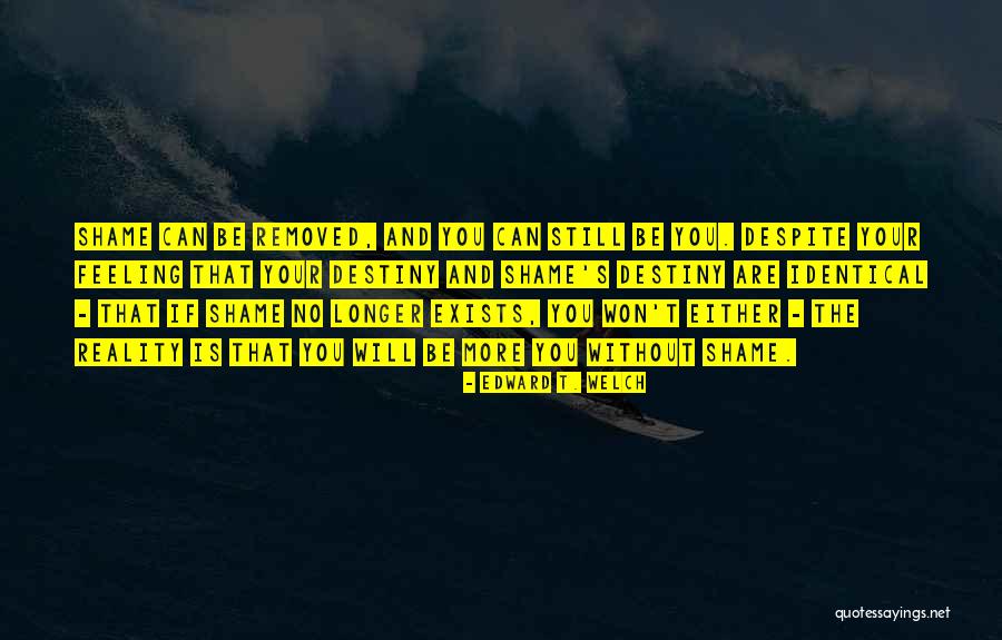Schiewer Quotes By Edward T. Welch Schiewer Quotes By Edward T. Welch