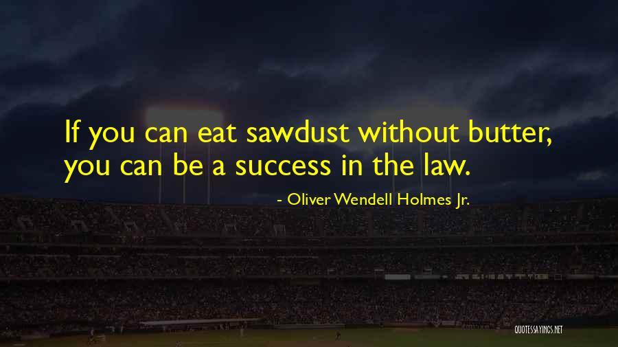 Schiewer Quotes By Oliver Wendell Holmes Jr. Schiewer Quotes By Oliver Wendell Holmes Jr.