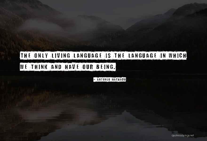 Schiffman Law Quotes By Antonio Machado Schiffman Law Quotes By Antonio Machado