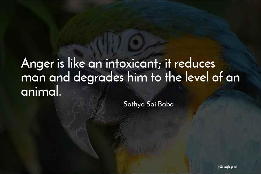 Schifoso Quotes By Sathya Sai Baba Schifoso Quotes By Sathya Sai Baba