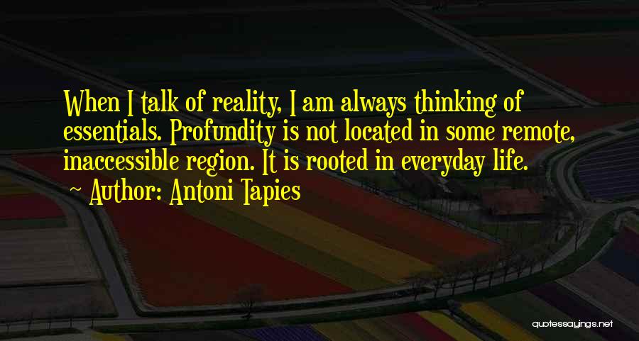 Schijn Bedriegt Quotes By Antoni Tapies