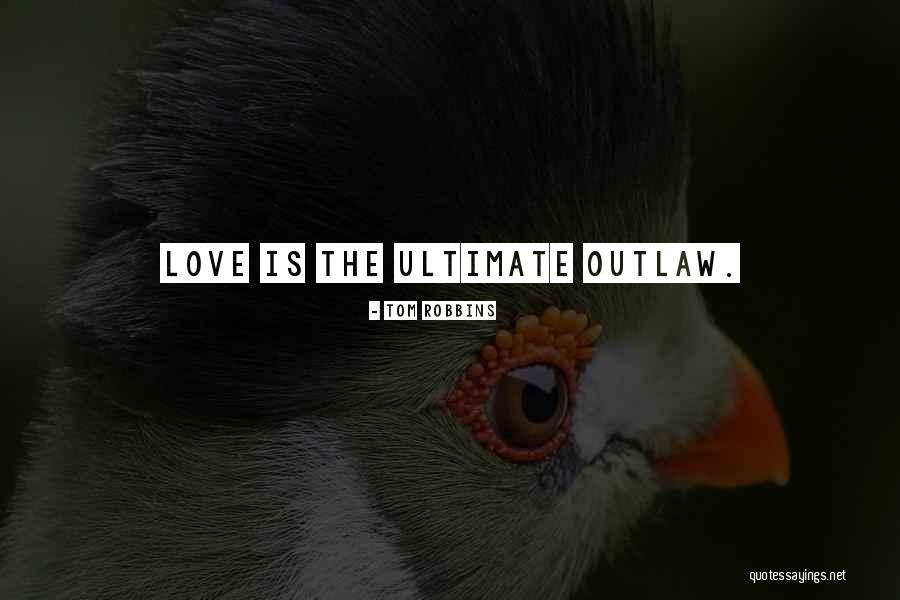 Schilhab Quotes By Tom Robbins Schilhab Quotes By Tom Robbins