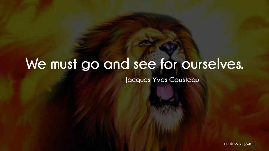 Schillebeeckx Rouwberichten Quotes By Jacques-Yves Cousteau Schillebeeckx Rouwberichten Quotes By Jacques-Yves Cousteau