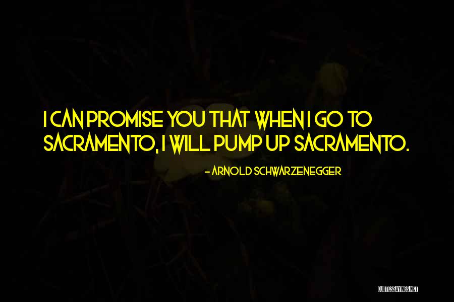 Schillinger Flea Quotes By Arnold Schwarzenegger