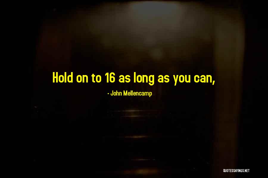 Schillinger Flea Quotes By John Mellencamp Schillinger Flea Quotes By John Mellencamp