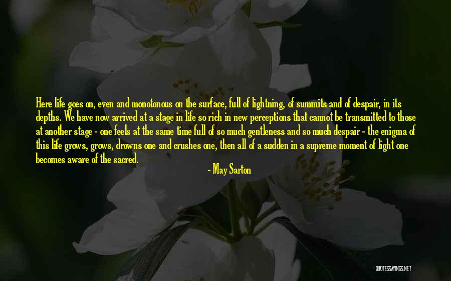 Schiltz Goose Quotes By May Sarton