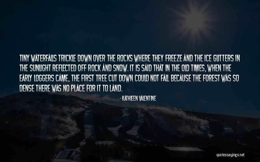 Schimanski Quotes By Kathleen Valentine Schimanski Quotes By Kathleen Valentine