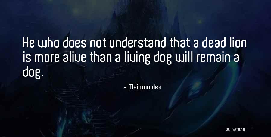 Schimberg Quotes By Maimonides Schimberg Quotes By Maimonides