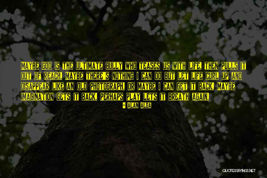 Schinner Law Quotes By Alan Alda Schinner Law Quotes By Alan Alda