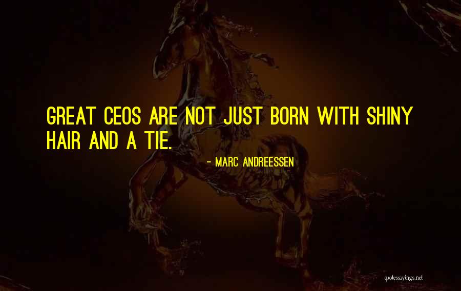 Schinner Law Quotes By Marc Andreessen Schinner Law Quotes By Marc Andreessen
